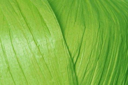 FİBRA NATURA RAFFİA CHUNKY 114-39