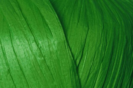 FİBRA NATURA RAFFİA CHUNKY 114-40