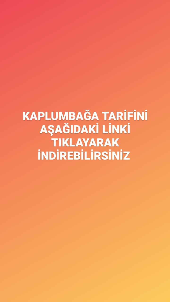 Kaplumbağa tarif