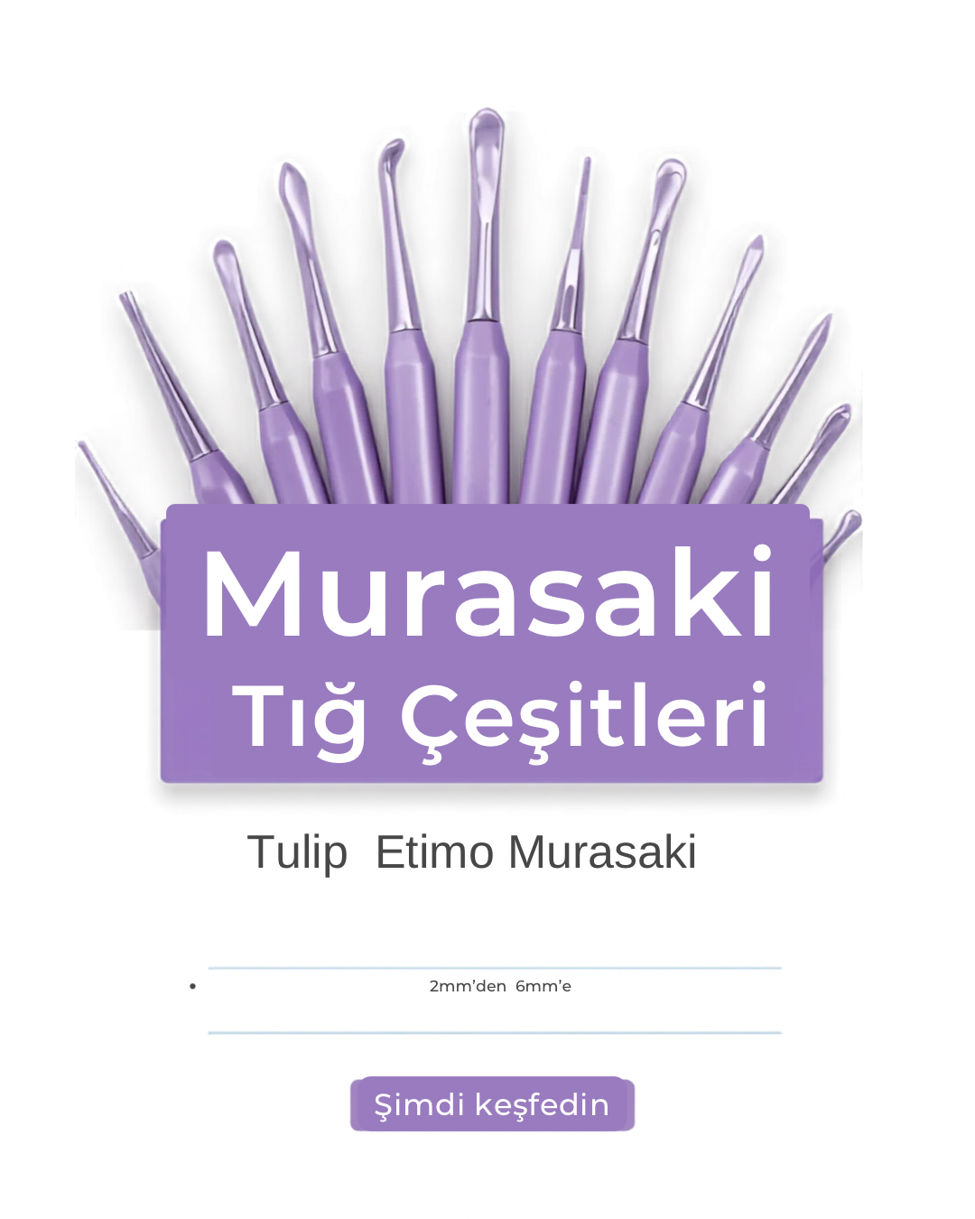 Etimo Murasaki