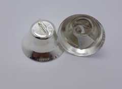 BÜYÜK BOY GÜMÜŞ ÇAN